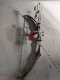 #16 Compound bow with arrows