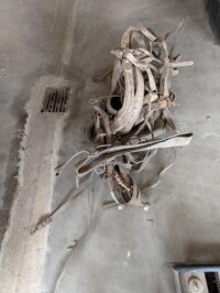 Horse Harness (031026)